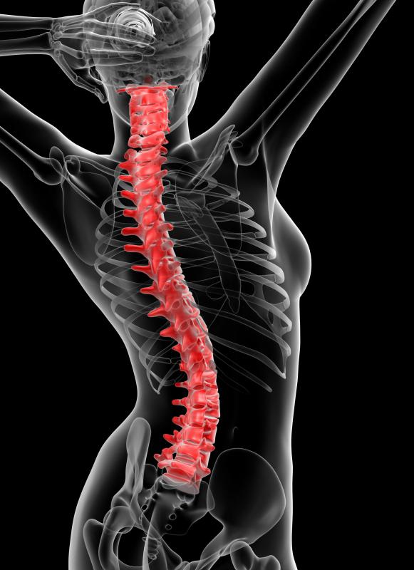Foam pillows are designed to help keep the spine in a more natural alignment.