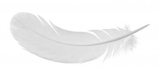 Foam pillows are created using spongy filling rather than goose feathers.